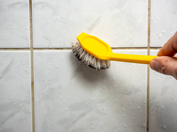 Northwest Harwinton, CT Mold Removal Company