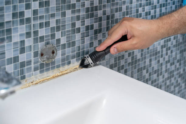 Best Mold Removal Company Near Me  in Northwest Harwinton, CT