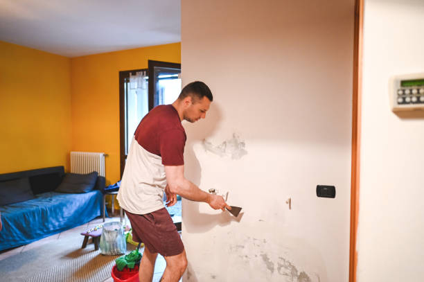 Best Residential Mold Removal  in Northwest Harwinton, CT